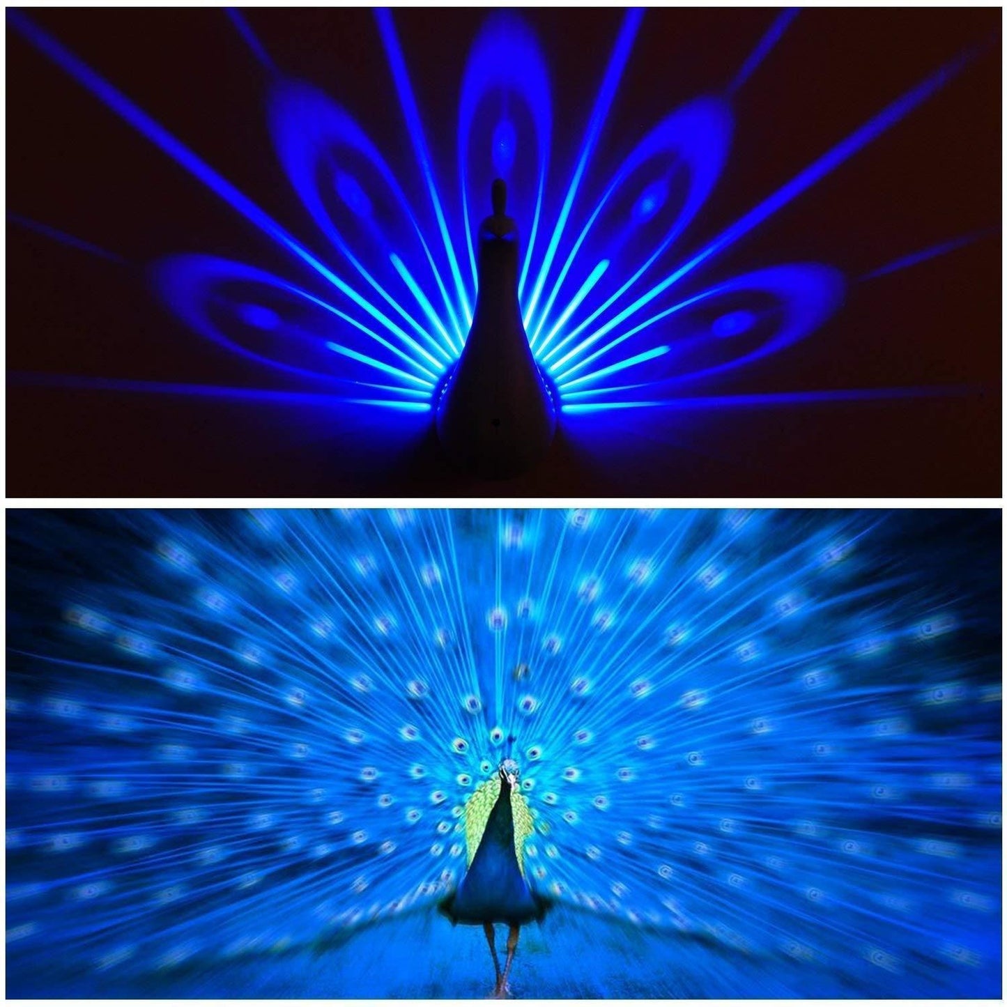 Royal Peacock Feather multicolour Lamp