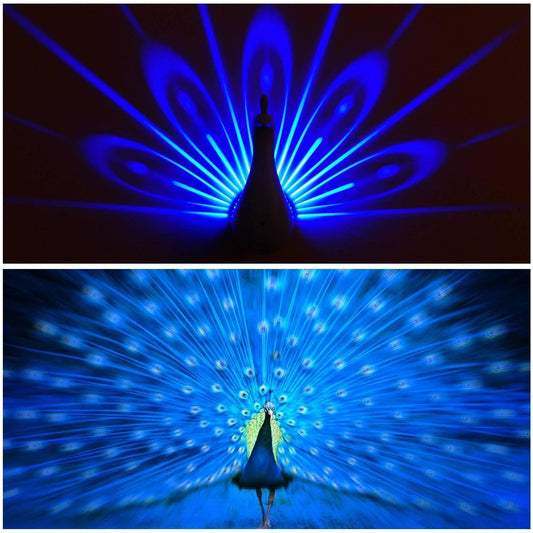 Royal Peacock Feather multicolour Lamp